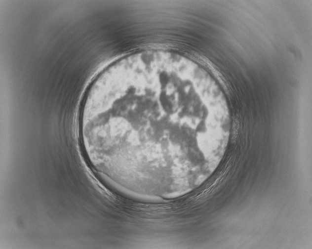 X0000114670795200912021052