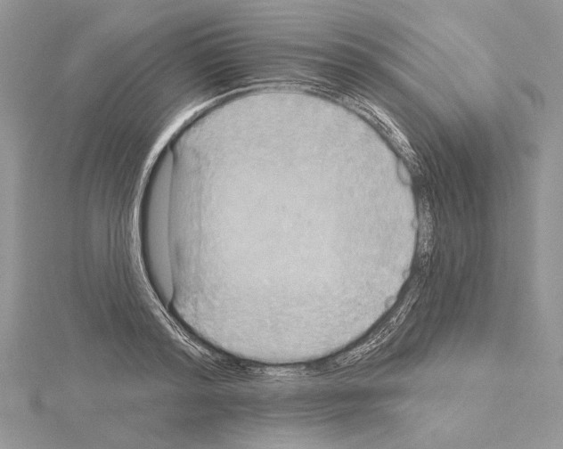 X0000114670796200912021052