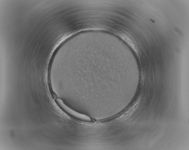 X0000114670797200912021052