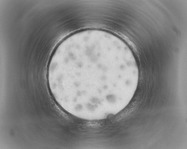 X0000114670799200912021052