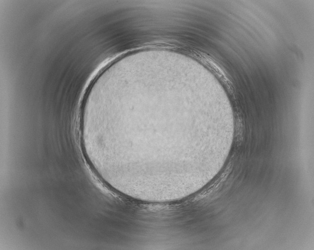 X0000114670800200912021052