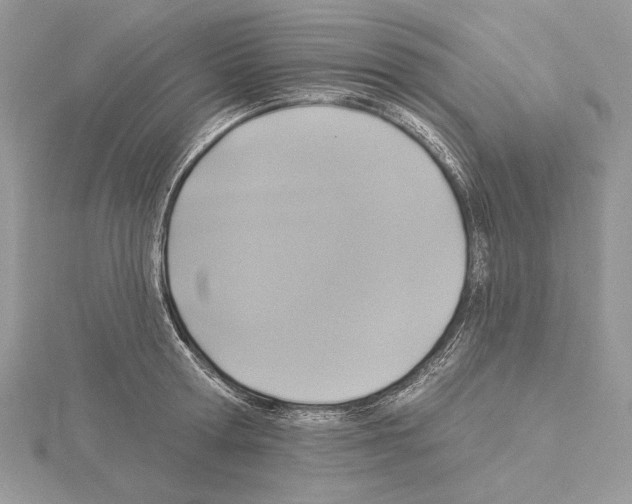 X0000114670802200912021052