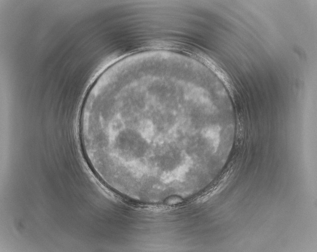 X0000114670803200912021052