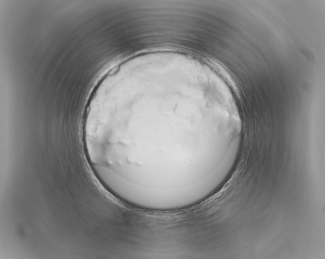 X0000114670805200912021052