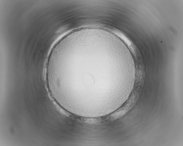 X0000114670807200912021052