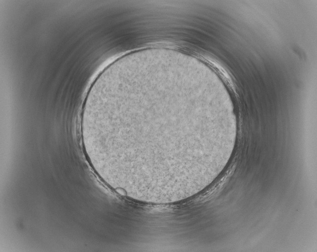 X0000114670808200912021052