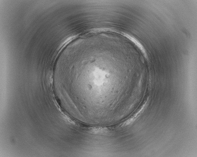 X0000114670809200912021052