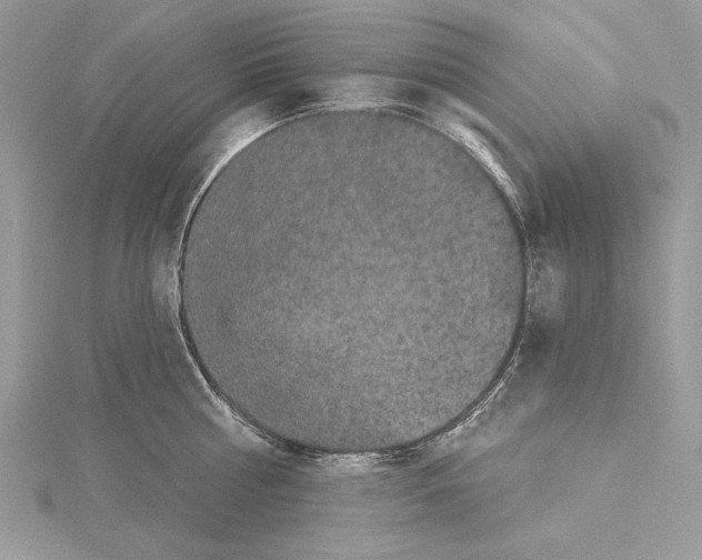 X0000114670810200912021052