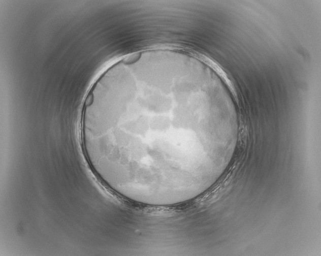 X0000114670811200912021052