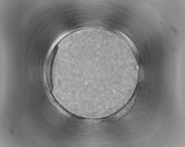 X0000114670812200912021052