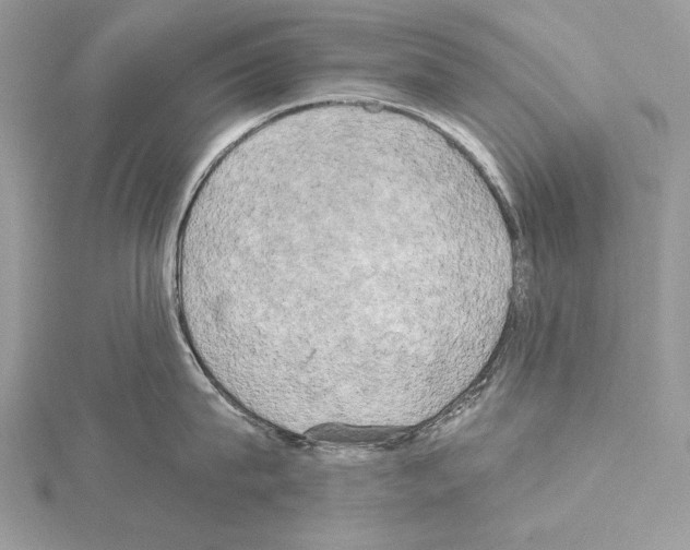 X0000114670815200912021052