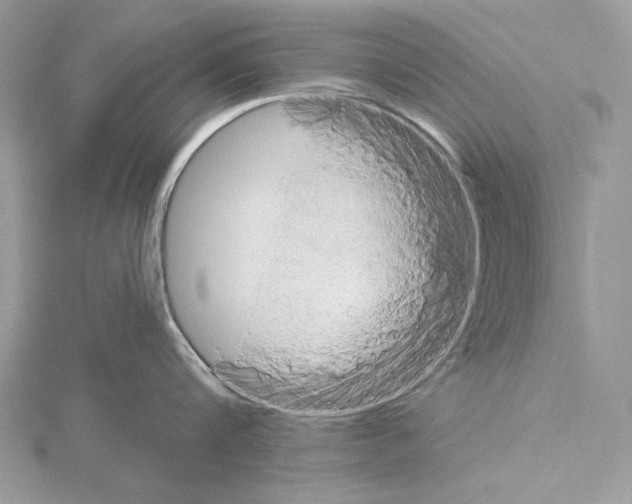 X0000114670816200912021052