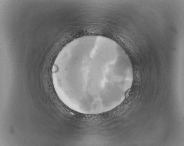 X0000114670817200912021051