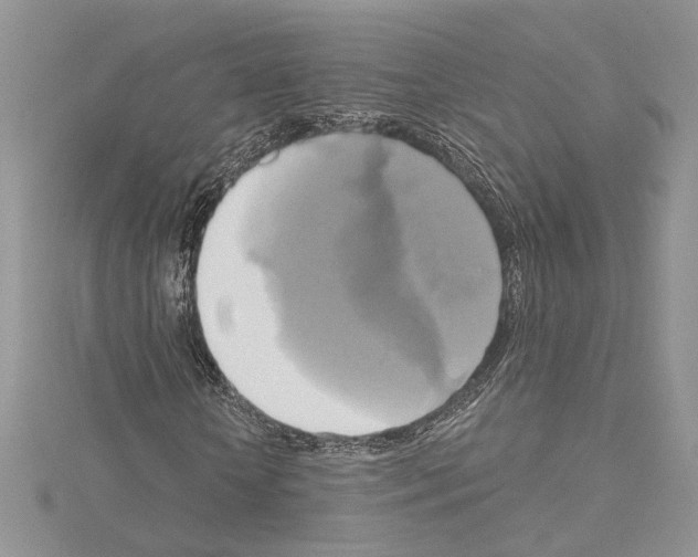 X0000114670818200912021051