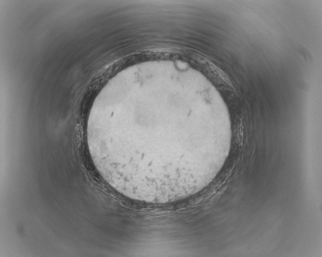 X0000114670821200912021051