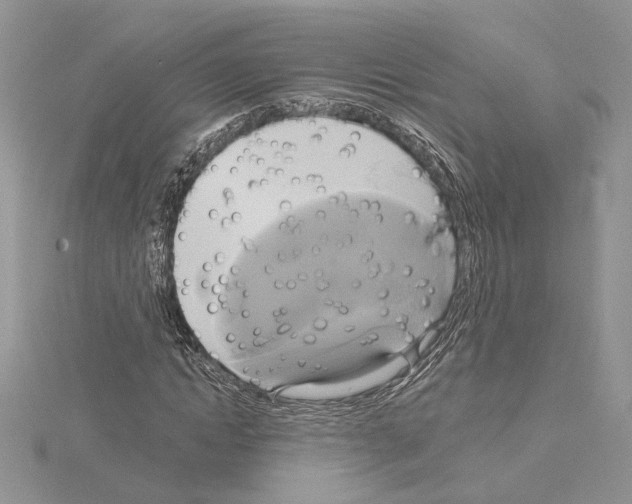 X0000114670822200912021051