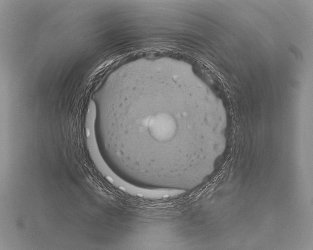 X0000114670824200912021052