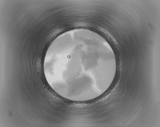 X0000114670825200912021052