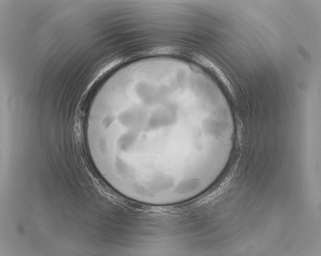 X0000114670827200912021052