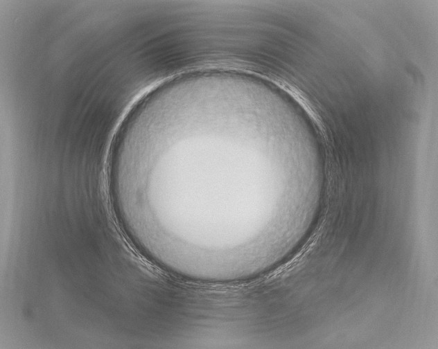 X0000114670832200912021052