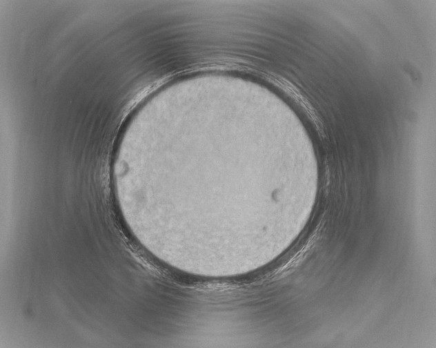 X0000114670834200912021052