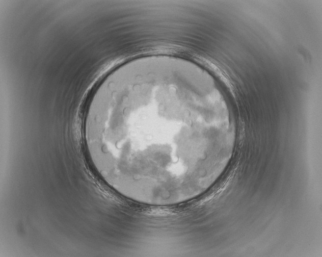 X0000114670835200912021052