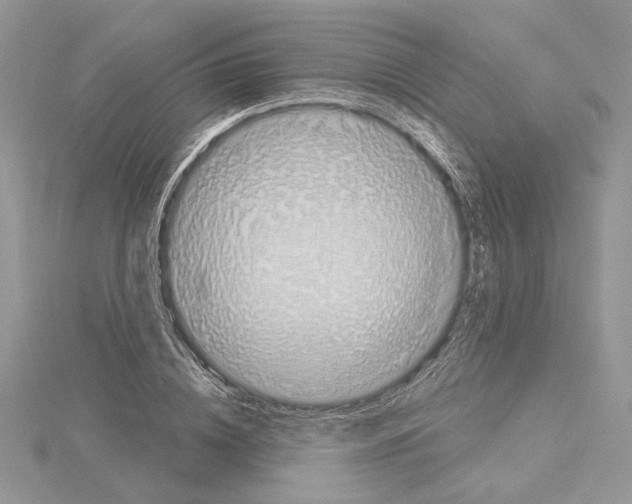 X0000114670836200912021052