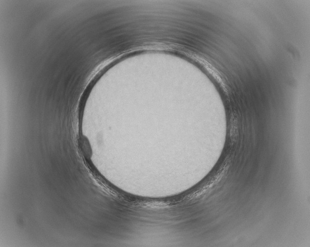 X0000114670837200912021052