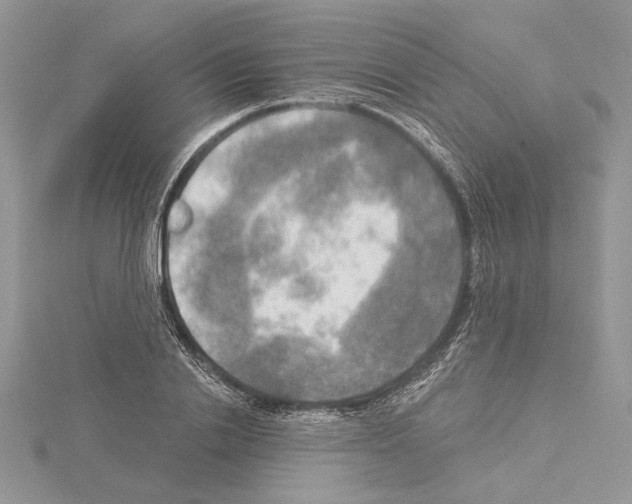 X0000114670838200912021052