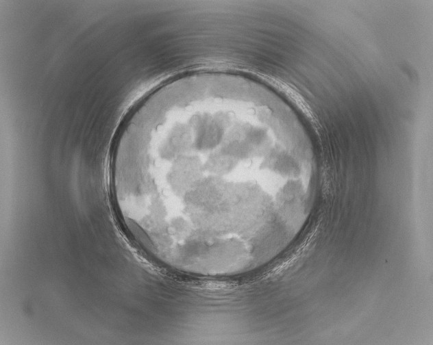 X0000114670839200912021052