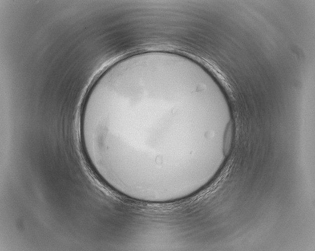 X0000114670840200912021052