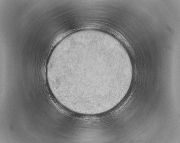 X0000114670842200912021052