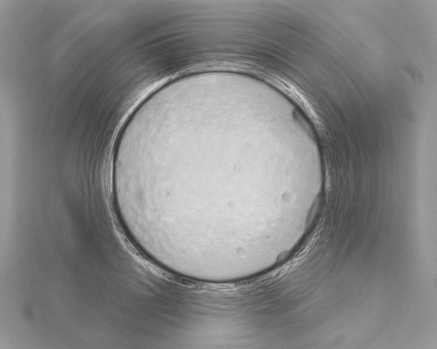 X0000114670844200912021052