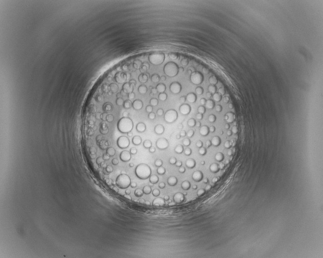 X0000114670846200912021052