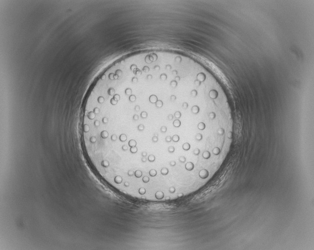 X0000114670847200912021052