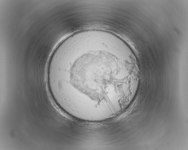 X0000114670848200912021052