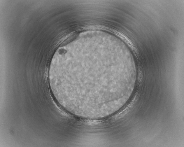 X0000114670849200912021052