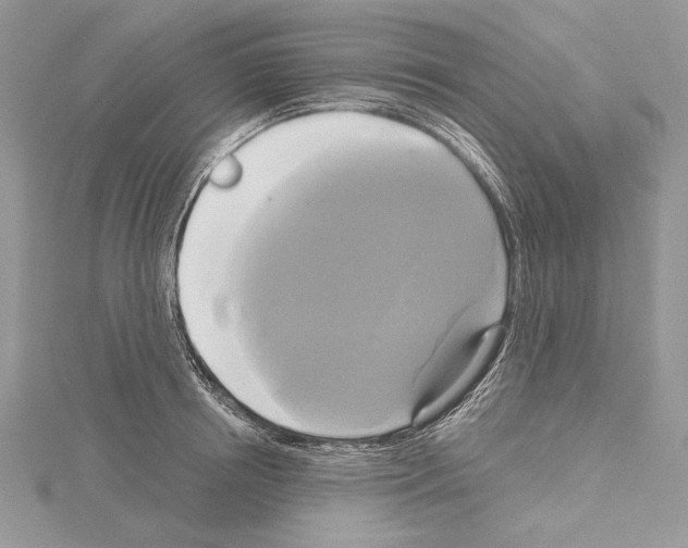 X0000114670850200912021052