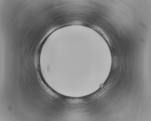 X0000114670851200912021052