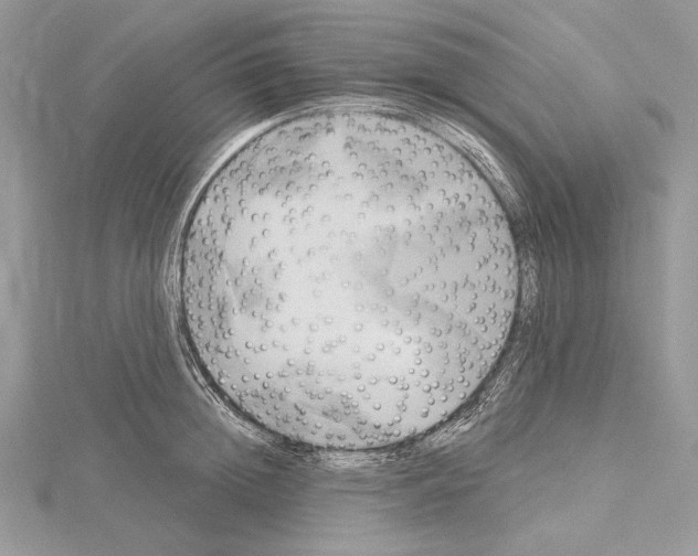 X0000114670852200912021052