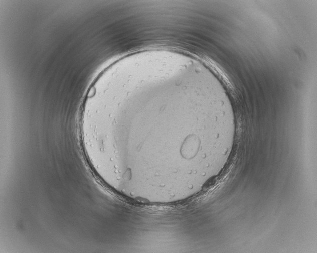 X0000114670854200912021052