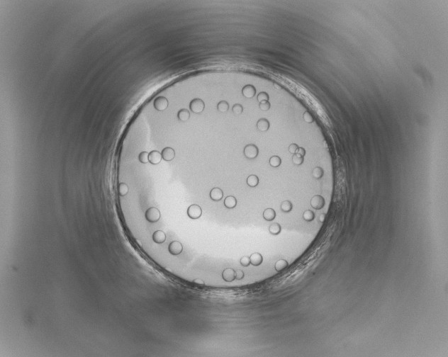 X0000114670855200912021052