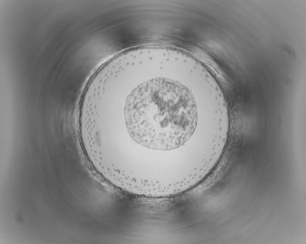 X0000114670856200912021052