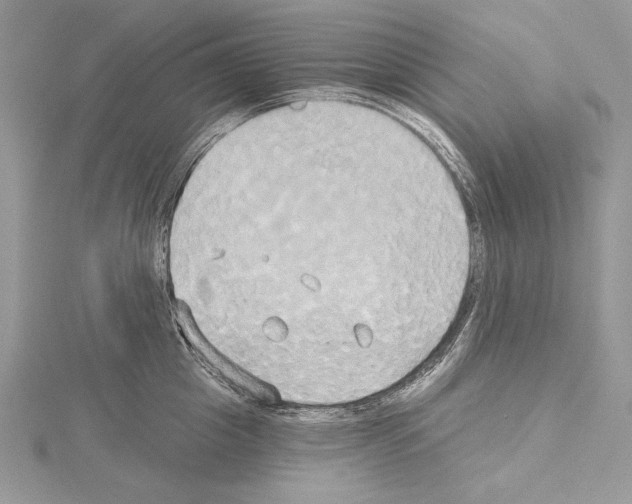 X0000114670857200912021052