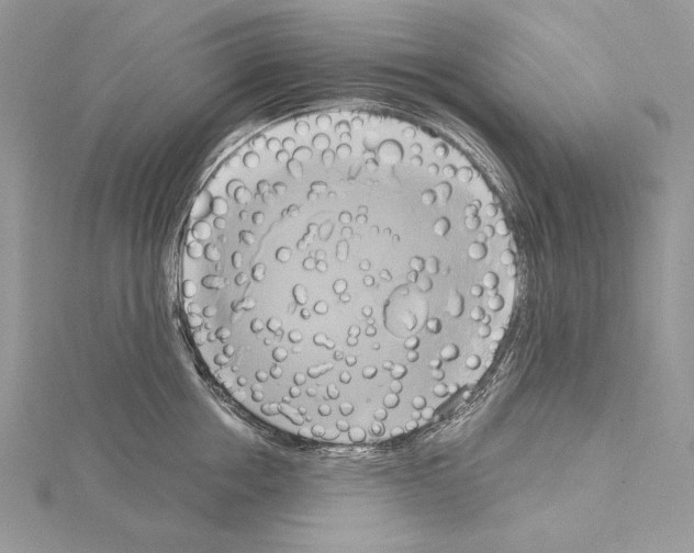 X0000114670858200912021052