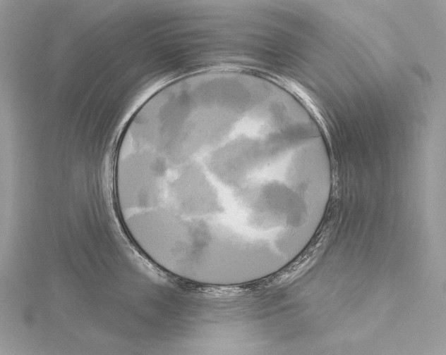 X0000114670859200912021052