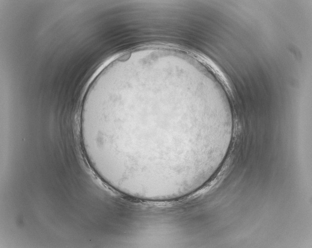 X0000114670860200912021052