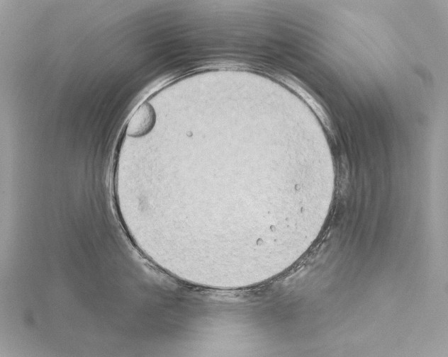 X0000114670861200912021052