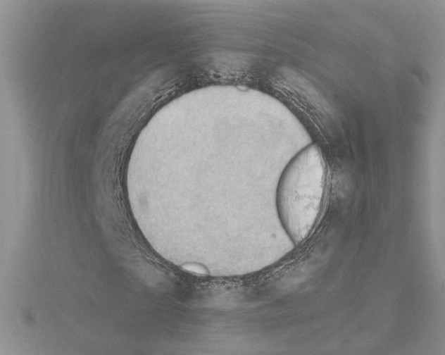 X0000114670865200912021051