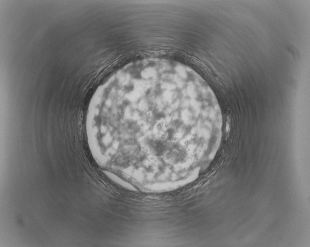 X0000114670867200912021051